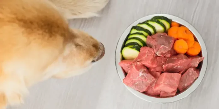 dogs-diet