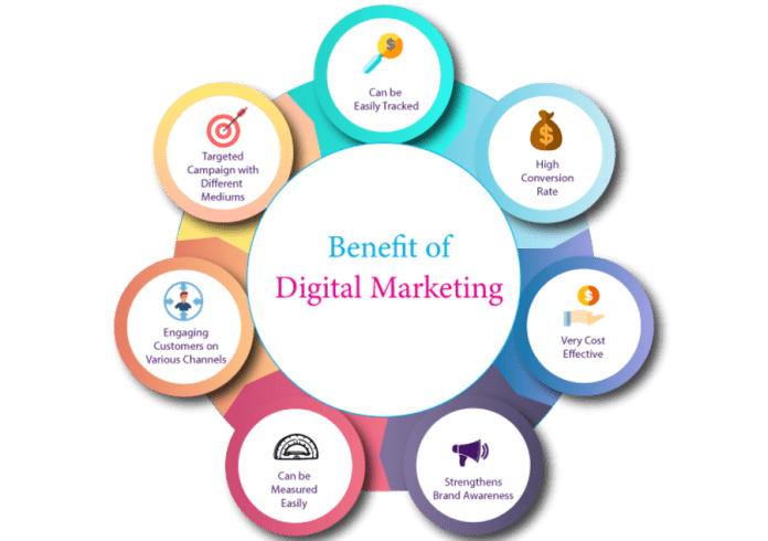 Seo Consultant and Digital Marketing agency in Lahore (2)