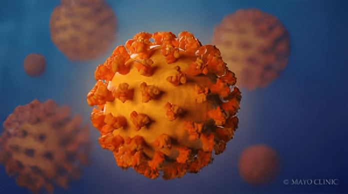 Coronavirus