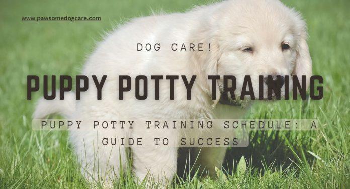 Puppy Potty Training